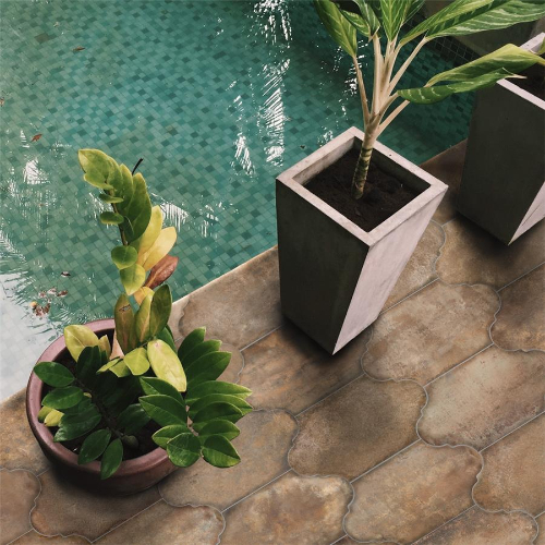 Alhama Provenzal Cotto 6-1/4" x 12-3/4" Porc F/W Tile