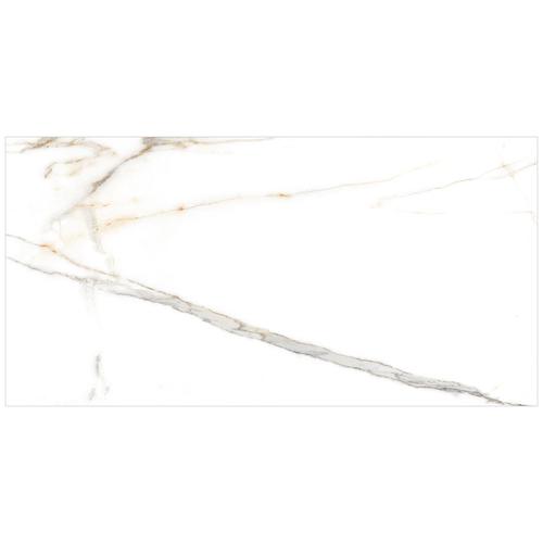 Outro 12x24 DCOF Matte