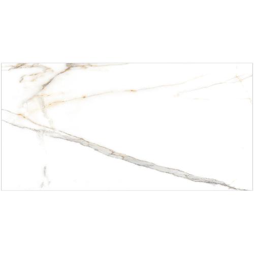 Outro 12x24 Polished