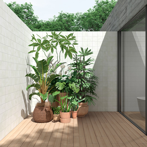 Avion Bright 6x6 Matte